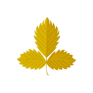 草莓叶.秋叶.图标照片