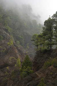洛基山脉和森林, 火山口 de Taburiente, 国家公园
