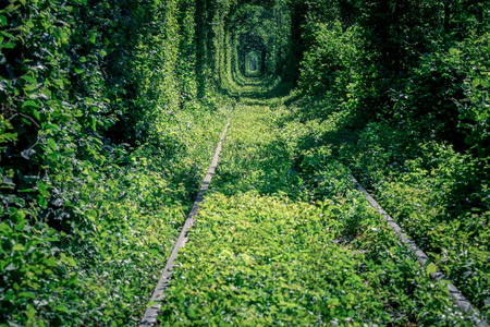 春天森林中的铁路隧道, 风景如画的爱情隧道