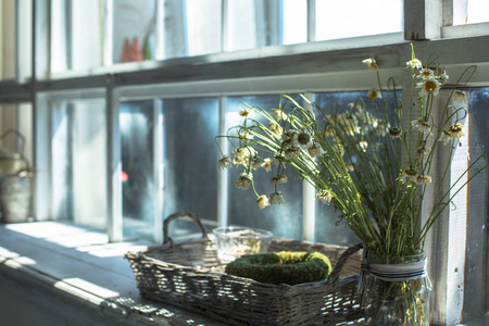 干燥的菊花花在窗台上的花瓶上, 上面有一个大的木制窗户和白天的光线。文本空间