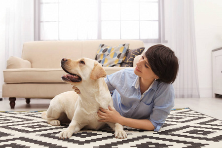 可爱的黄色拉布拉多猎犬与主人在家里