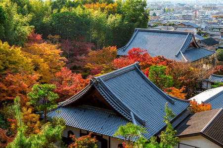 日本京都五颜六色的秋叶和寺庙屋顶