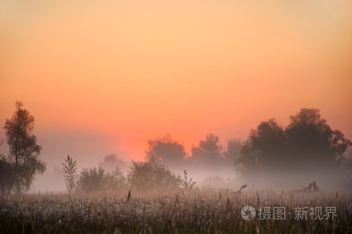 秋雾照片 正版商用图片05jf8p 摄图新视界