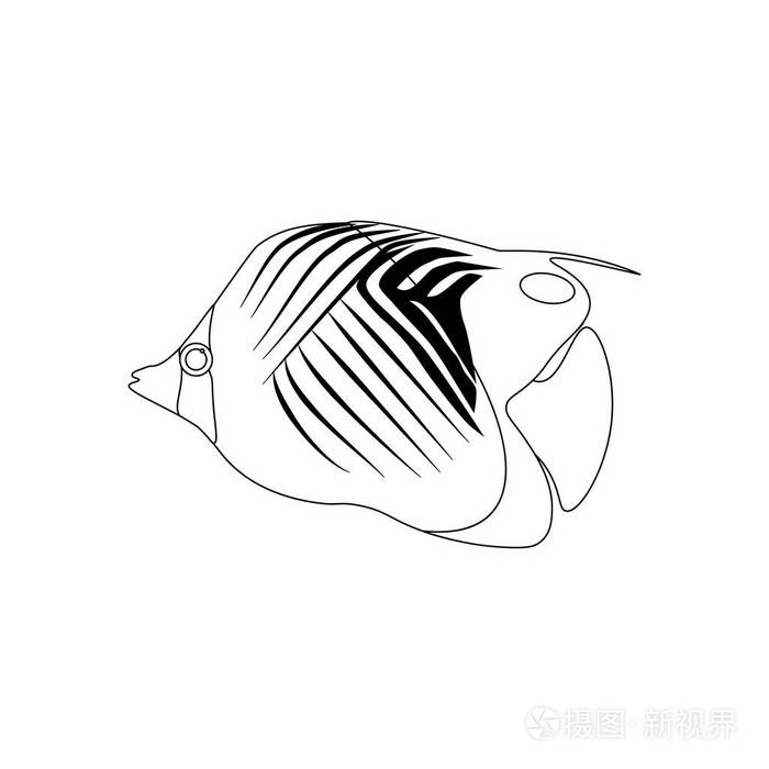 矢量插图插画-正版商用图片05jj2s-摄图新视界