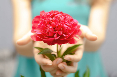 女孩手捧花在自己面前照片