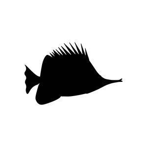 黄色 Longnose Butterflyfish 剪影在白色背景。矢量插图