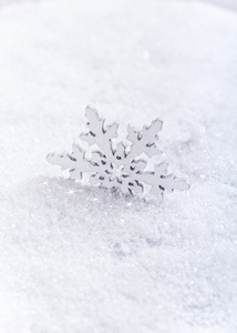 在雪上的雪花