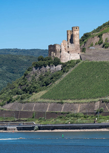 Ehrenfels 城堡废墟在莱茵河附近吕德斯海姆对面 Bingen 在莱茵河河, 黑森, 德国