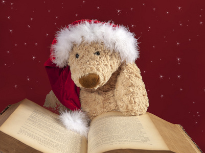 读一本老书的圣诞玩具熊
