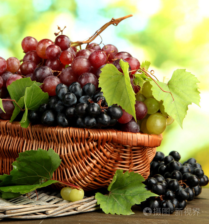 熟透的甜葡萄在篮子里在绿色背景上的分类