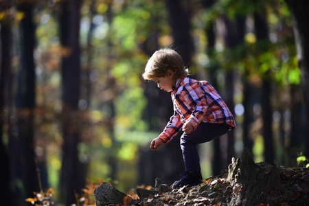 孩子在秋天森林里玩耍。儿童户外新鲜空气