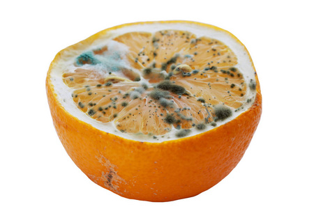 发霉的柠檬图片