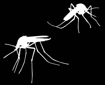 例证与两个蚊子剪影查出的黑色背景