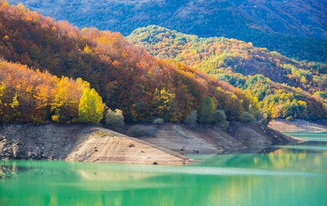 秋天的湖水与五颜六色的树木对绿色水的反射