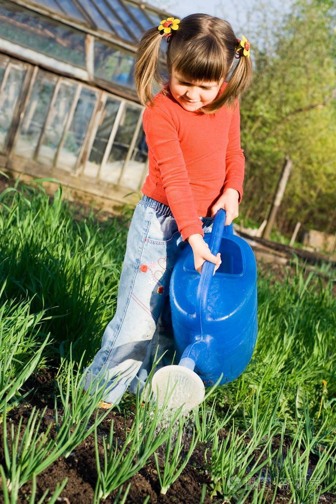 小女孩在菜园里浇水在春天