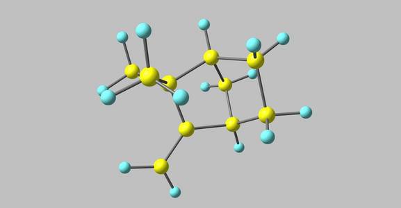 莰是一个笼的单萜。它几乎不溶于水, 但很易溶于普通有机溶剂。3d 插图
