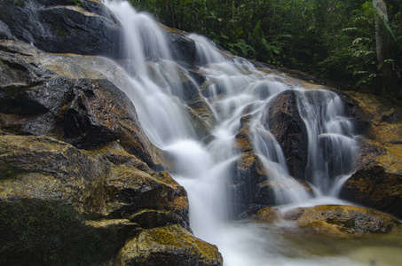 美丽而自然，令人惊叹的热带瀑布。湿和长满苔藓的岩石，包围绿色雨林
