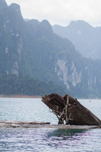 泰国海中死木的关闭