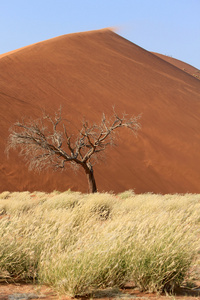 塞斯瑞姆附近的 nanib 沙漠 sossusvlei 沙丘景观