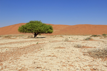 塞斯瑞姆附近的 nanib 沙漠 sossusvlei 沙丘景观