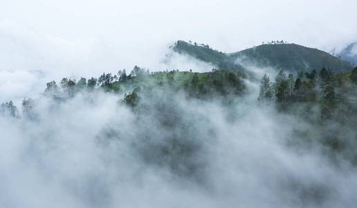 Samosir 岛上的岛屿, 位于印度尼西亚苏门答腊岛北部中部, 印尼