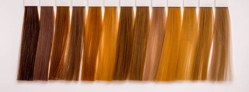 各种色调的头发风格的正确选择的颜色当 co