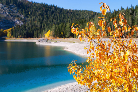 秋天一棵树在山下湖
