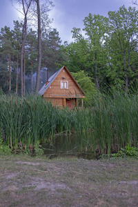 湖边的森林里的房子