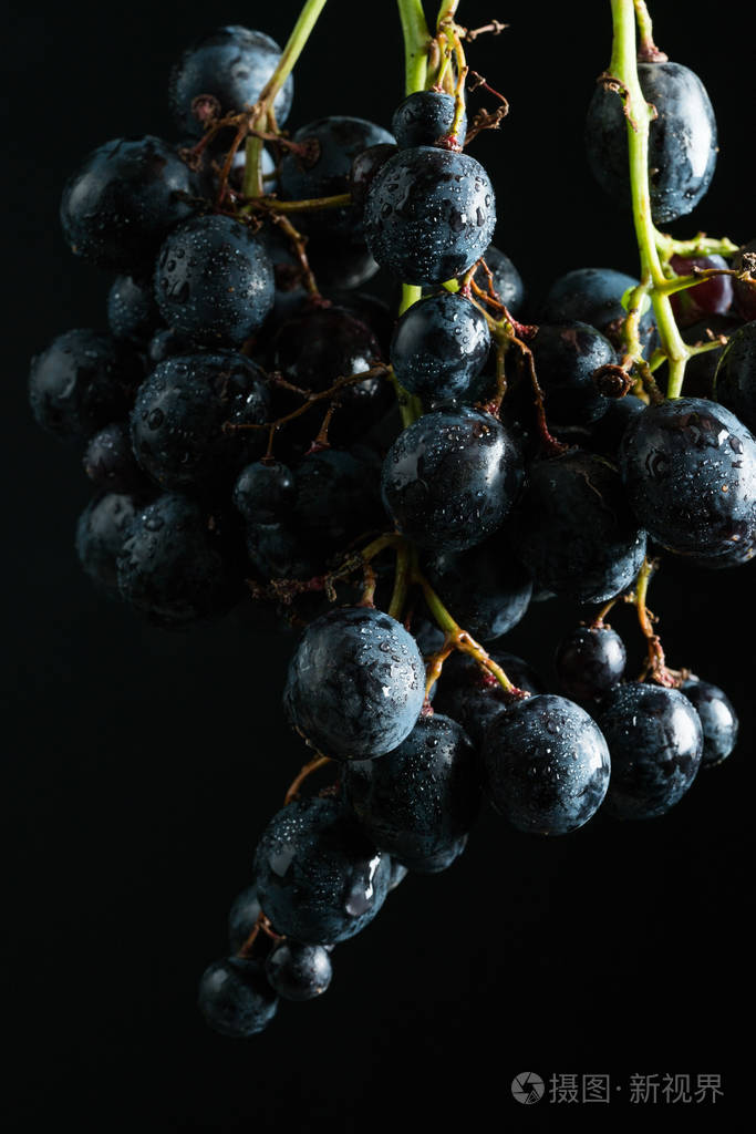 甜黑葡萄和水滴