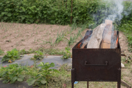 在烧烤木柴为羊肉串烤肉串