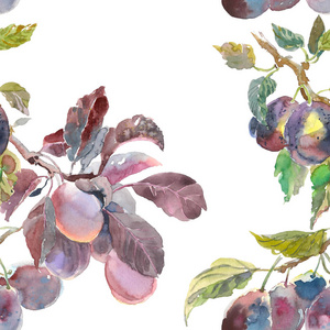 在白色背景下分离的水彩果梅树枝的无缝图案。手绘画。为您的设计, 布料, 包装