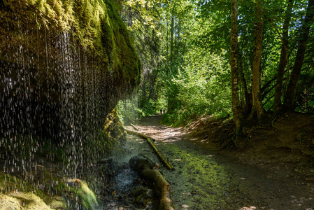 Wutach 峡谷与河流和瀑布漫步在美丽的 blackforest, 德国的景观