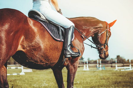 一个女子骑着马在跳跃的比赛中骑马