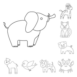 卡通小鸭猜谜游戏相似素材图片 摄图新视界