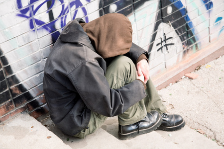 大草原火灾愤怒的狗流浪汉可怜的流浪汉流浪汉在大草原火灾在一个美丽