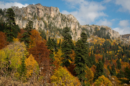 Adygea 山中的金色秋天