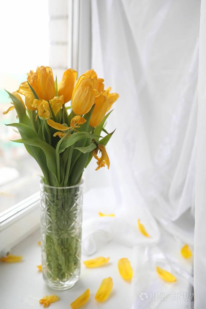 窗台上的花瓶里有一束黄色的郁金香.礼物 t