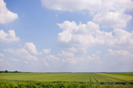 部分多云晴朗的蓝天在绿色农业领域之上