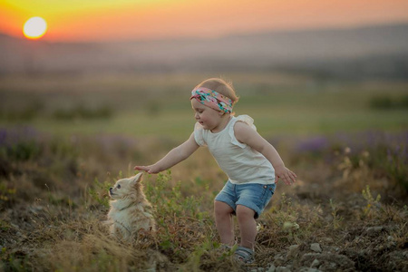 可爱的小女孩与狗在田野上日落