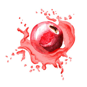 新鲜的蔓越莓, 在白色背景下的果汁中分离出来.水彩画手画插图照片