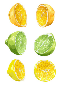 果子设置与石灰, 橙色和柠檬在一半在2个变形在真实的向量图例证在明亮的颜色