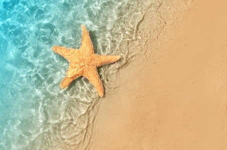 海星在夏天的海滩上海水。夏天的背景。夏季时间