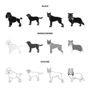 狗品种黑色, 单色, 轮廓图标在集合中设计。狗宠物矢量符号股票 web 插图