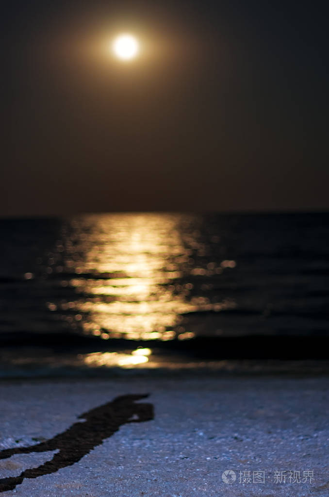 在海边的海滩上, 月光下的一个男人的影子.夜月