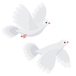 两只鸽子在白色背景下飞行的插图