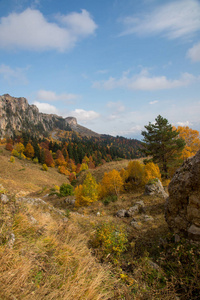 Adygea 山中的金色秋天