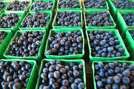 在农贸市场陈列的纸箱中有机生长的蓝莓作物