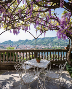 梦幻般的阳台覆盖着五颜六色的紫藤在一个美丽的春天的日子