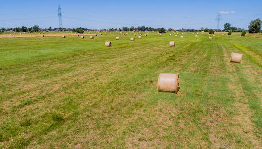 牧草加工成圆包在一个领域