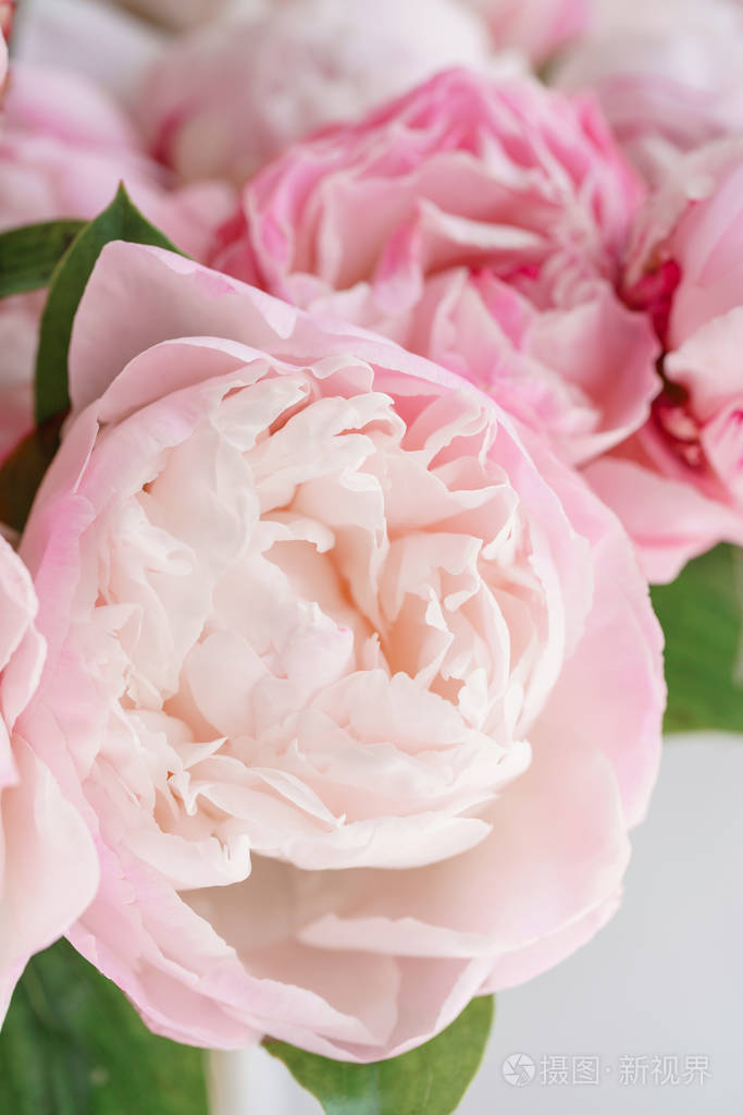 可爱的花在玻璃花瓶里美丽的白色和粉红色的牡丹花束花的成分日光夏日